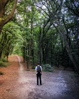 man standing in the middle of woods by Vladislav Babienko courtesy of Unsplash.